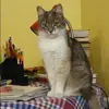 Отзыв от Эльмира Блохина